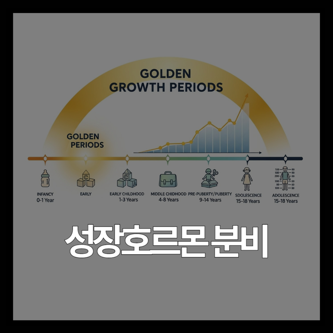 신생아 성장호르몬 시간 완벽 정리 | 우리 아이 키 성장 골든타임