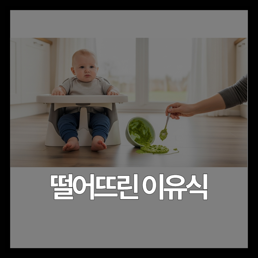 떨어뜨린 이유식 먹여도 될까? 3초 법칙의 진실과 바닥별 판단법