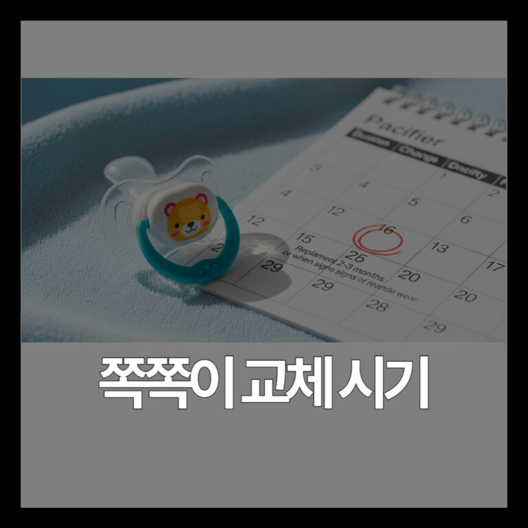 쪽쪽이 교체 주기, 얼마나 자주 바꿔야 할까요? 소독법까지 정리