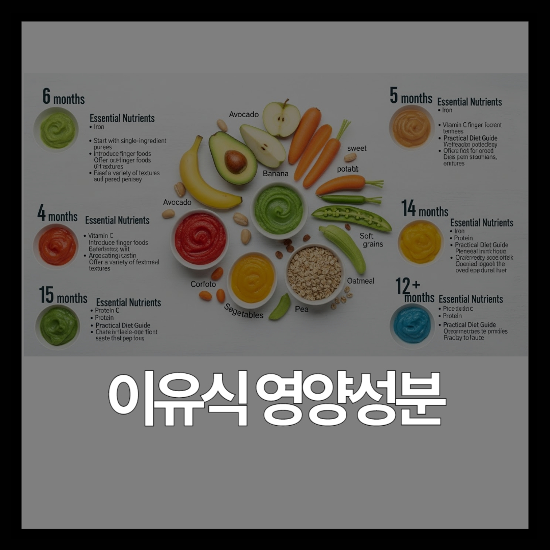아기 이유식 영양성분 완벽 가이드 | 개월별 필수 영양소와 식단표