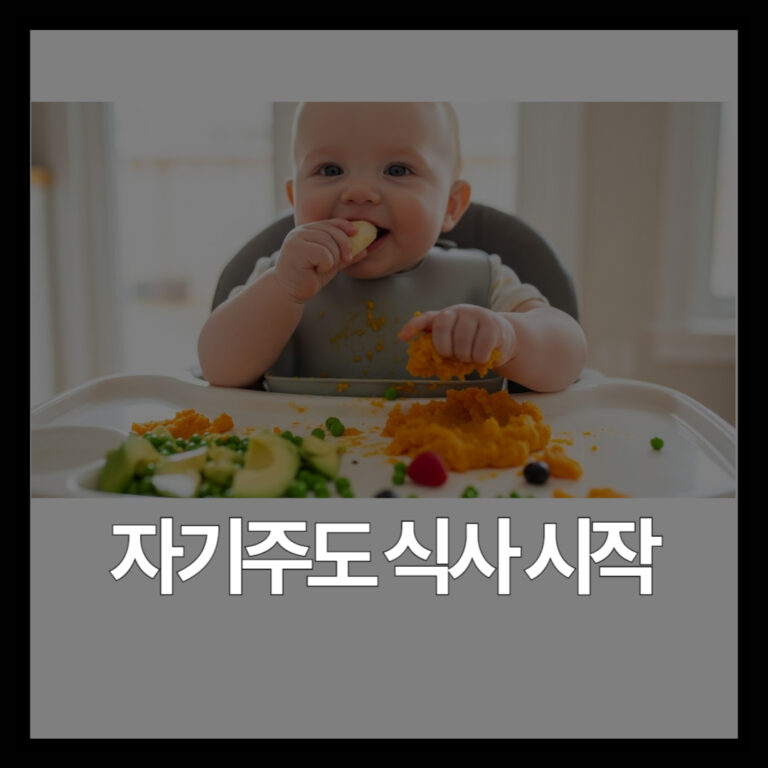 아기 자기주도 식사 시작 시기 완벽 가이드 | 생후 6개월 판단법