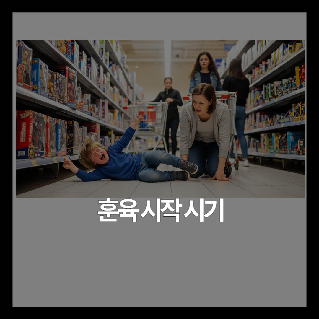 훈육은 몇 살부터 시작하면 될까요?